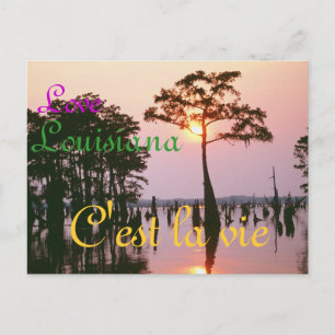 Lousiana/Atchafalaya Becken Postkarte