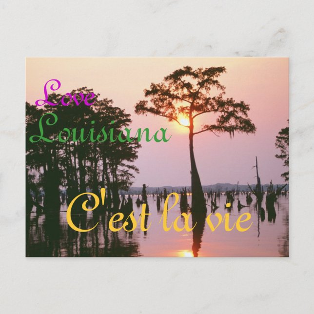 Lousiana/Atchafalaya Becken Postkarte (Vorderseite)