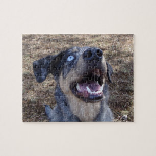 Lousiana Catahoula Leopard Dog Puzzle