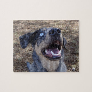 Lousiana Catahoula Leopard Dog Puzzle