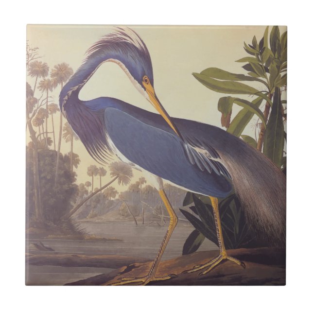 Lousiana Heron in Grau, Green und Blue von Audubon Fliese (Vorderseite)
