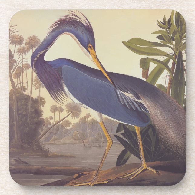 Lousiana Heron in Grau, Green und Blue von Audubon Getränkeuntersetzer (Vorderseite)