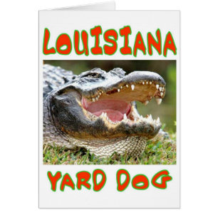 LOUSIANA YARD DOG
