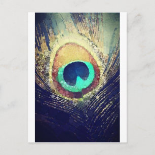 Love2Snap Pfauenfeder Postkarte