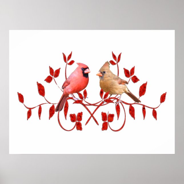 Love Birds Poster (Vorne)