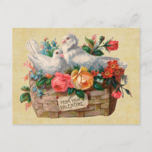Love Birds Vintag Postcard Postkarte
