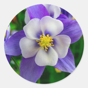 Love Blume Round Sticker