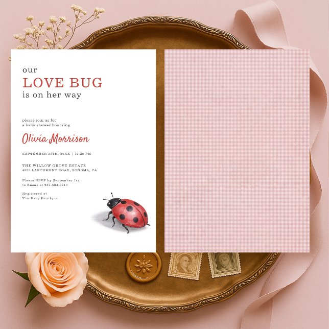 Love Bug Ladybug Gingham Baby Shower Einladung (Von Creator hochgeladen)