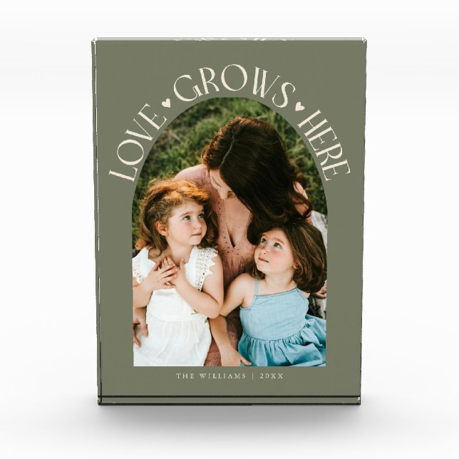 Love Grows Here Moderne Bogen-Weise Hellgrün Fotoblock (Vorderseite)