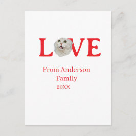 Love holidays cat photo pet family name bold lette postkarte