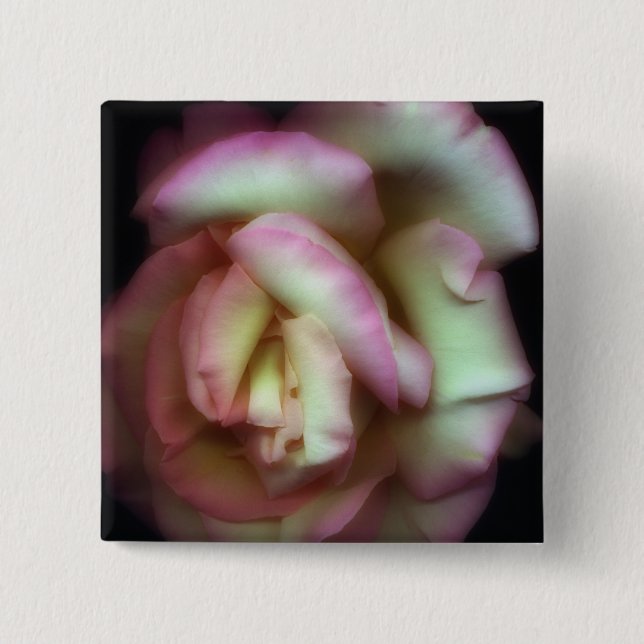 <Love is a Rose> durch Nathan Griffith Button (Vorderseite)