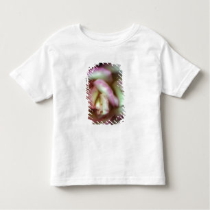 <Love is a Rose> durch Nathan Griffith Kleinkind T-shirt