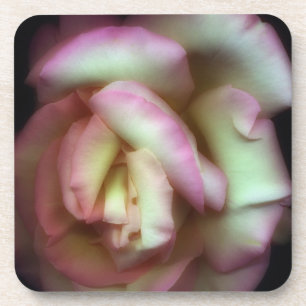 <Love is a Rose> durch Nathan Griffith Untersetzer