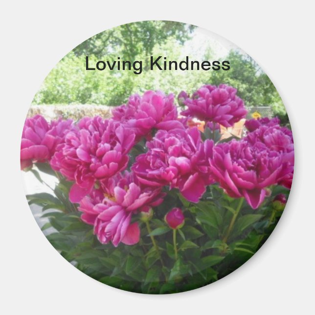 Love Kindness Peony Magnet (Vorne)