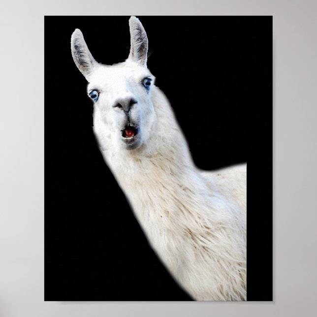 Love Llama Women Shirt Llama Lovers For Kids And G Poster (Vorne)