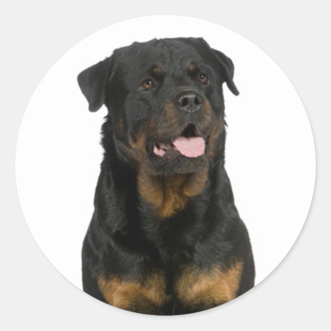 Love Rottweiler Puppy Dog Sticker / Seal (Vorderseite)