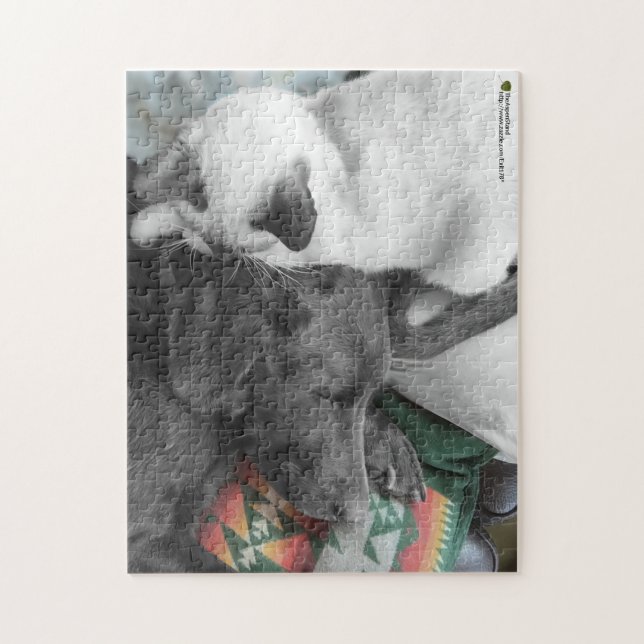Love Siam Kitten Watches Labrador Schlaf Puzzle (Vertikal)