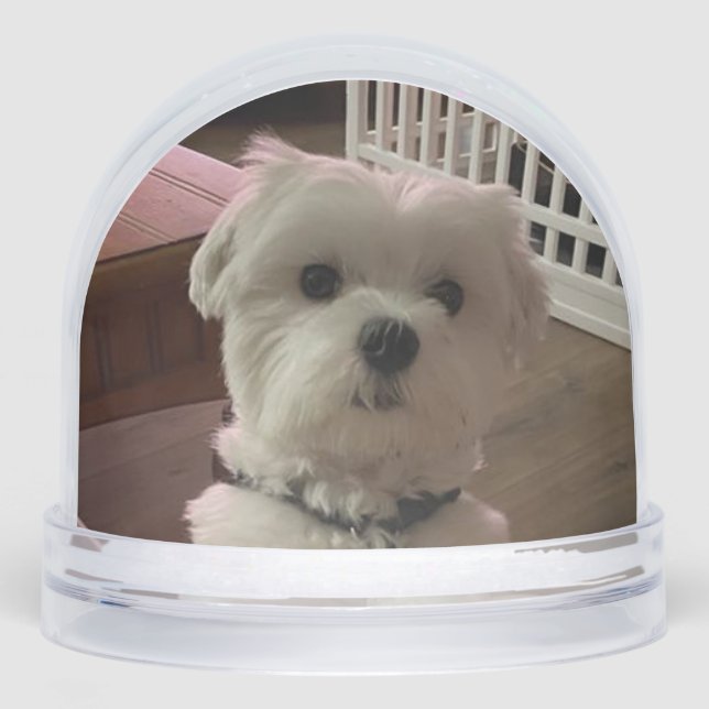 Love them both schneekugeln (Vorderseite)