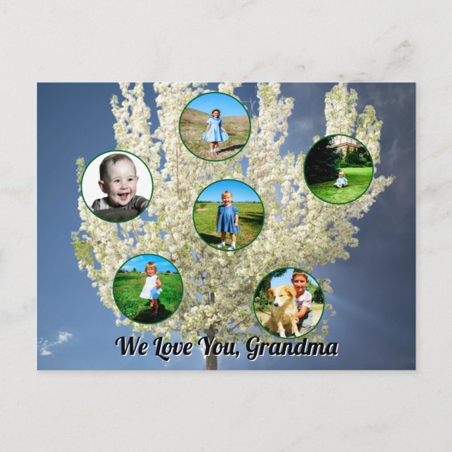 Love You Grandma White Blossoming Tree Six Photos  Postkarte (Vorderseite)