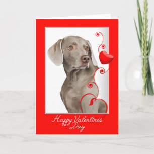 Love You More! Weimaraner Valentine Feiertagskarte
