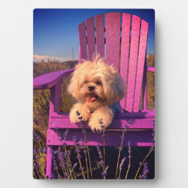 Loveable Fluffy Shih Tzu Toy Puppy, Happy Dog Sits Fotoplatte