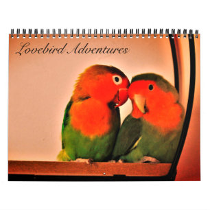 Lovebird Adventures Kalender