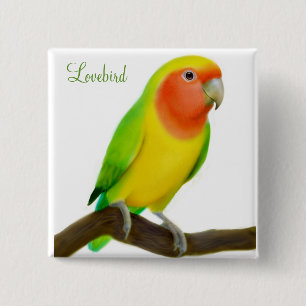 Lovebird-Button Button