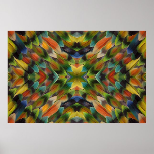 Lovebird feather kaleidoscope poster (Vorne)