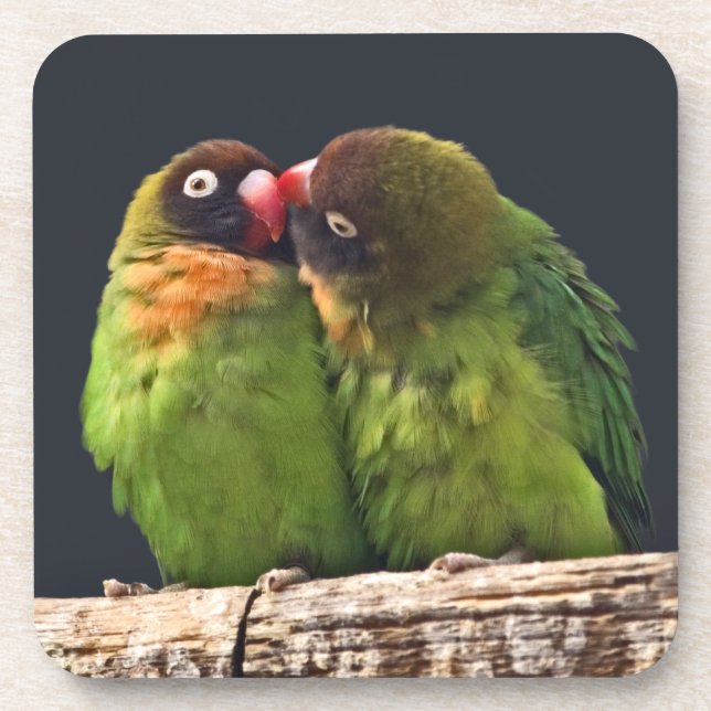 Lovebird Kiss Set von 6 Untersetzer (Vorderseite)