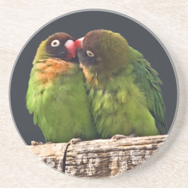 Lovebird Kiss Untersetzer (Vorne)