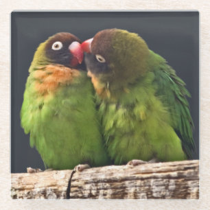 Lovebird-Kuss-Glas-Untersetzer Glasuntersetzer