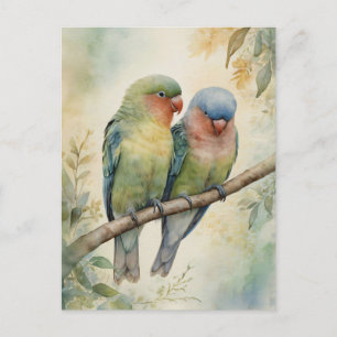 Lovebirds Eukalyptus Tree Postkarte