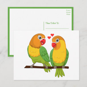Lovebirds Grün Gelb Hochzeit der Liebesvögel Postkarte