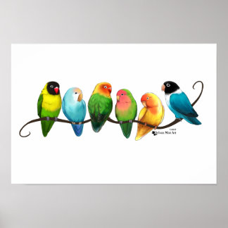 Lovebirds Poster