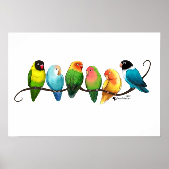 Lovebirds Poster (Vorne)