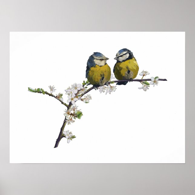 Lovebirds sitzen auf einem Kirschblütenzweig weiß Poster (Vorne)