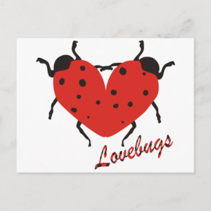 Lovebugs Postkarte