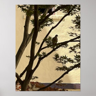 Lovedove-Silhouette Poster