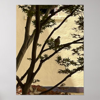 Lovedove-Silhouette Poster