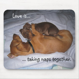 loveis, Liebe ist…,…, Nickerchen zusammen nehm Mousepad