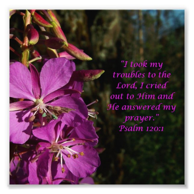 Lovely Blume Scripture Psalm 120:1 Foto Print (Vorne)