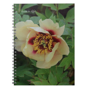 Lovely Cream Yellow Peony Notizblock
