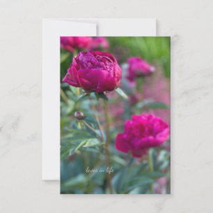 Lovely Deep Pink Garden Peongs Mitteilungskarte