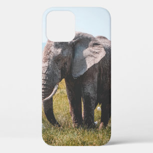 LOVELY ELEPHANT Case-Mate iPhone HÜLLE