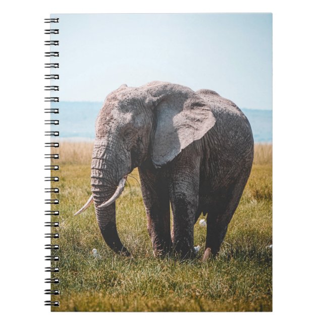 LOVELY ELEPHANT NOTIZBLOCK (Vorderseite)