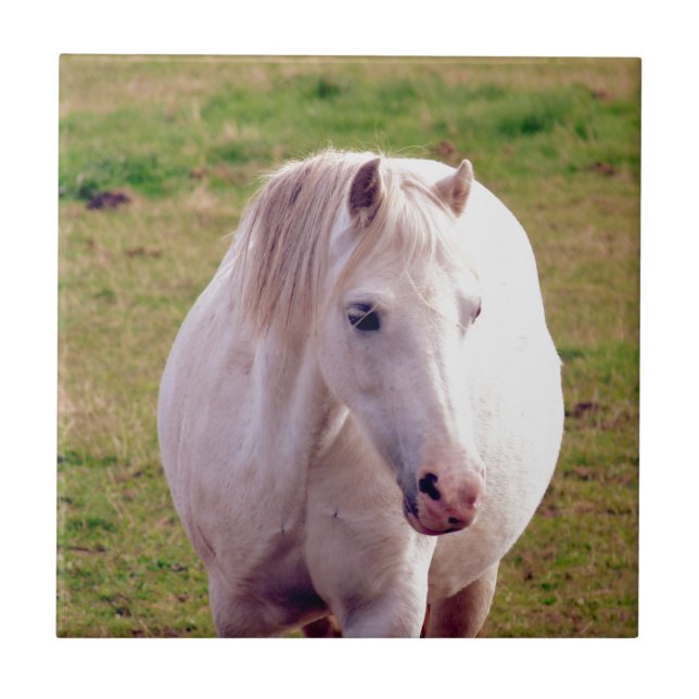 Lovely Gray Pony Fliese (Vorderseite)