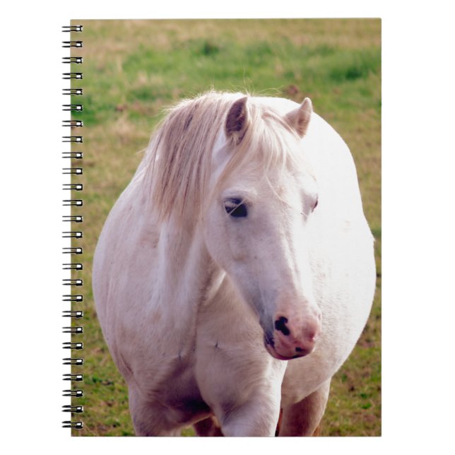 Lovely Gray Pony Notizblock (Vorderseite)
