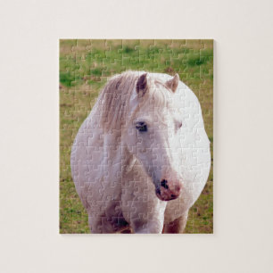 Lovely Gray Pony Puzzle