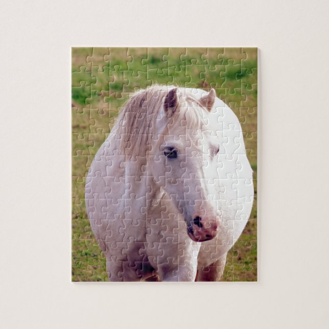 Lovely Gray Pony Puzzle (Vertikal)