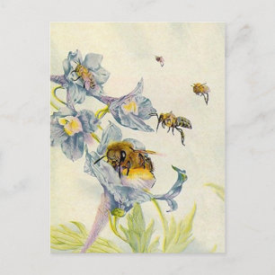 LOVELY HONEYBEES NATURBEEKEEPERS HONEY POSTCARDS POSTKARTE